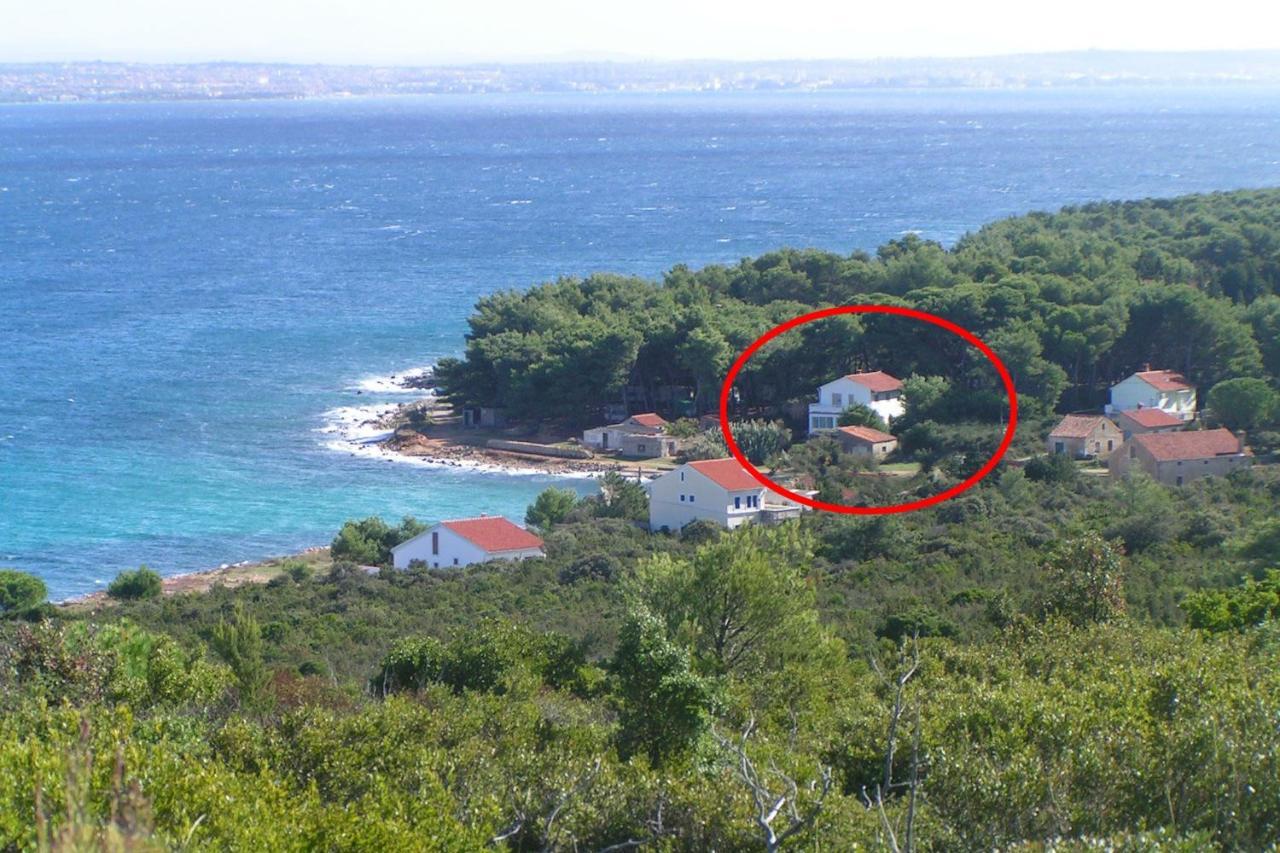 Apartments By The Sea Susica, Ugljan - 3462 Dış mekan fotoğraf